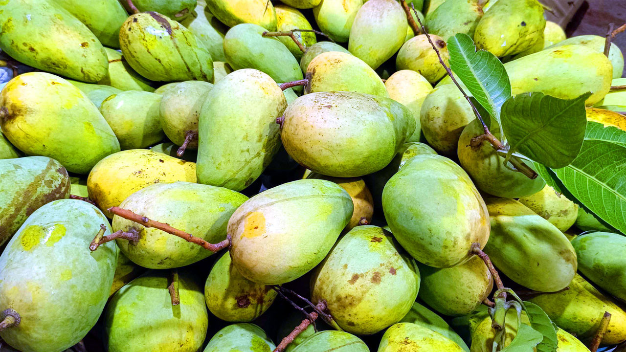 ডায়াবেটিস কিংবা ওজন কমানোর পথে আম কি বাধা?