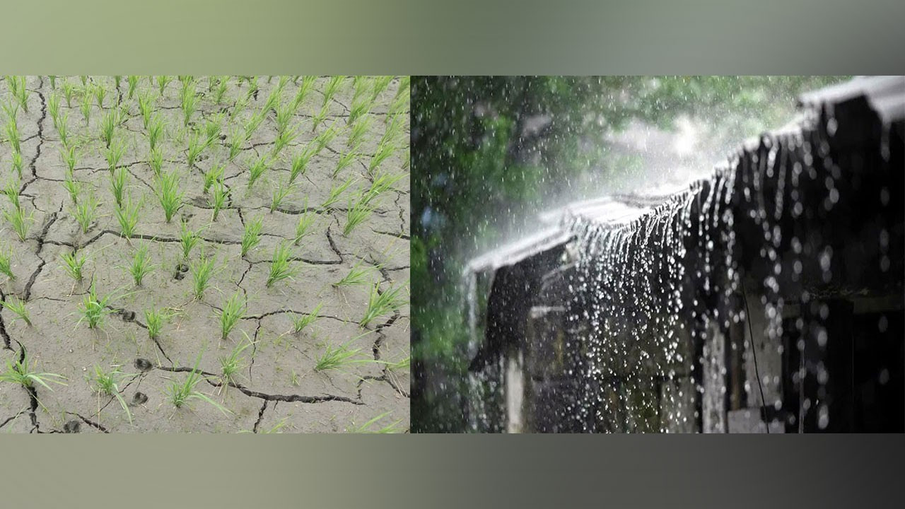 আবহাওয়ার বৈপরীত্যে দেশের কৃষি খাতে চরম সংকট। ছবি : সংগৃহীত