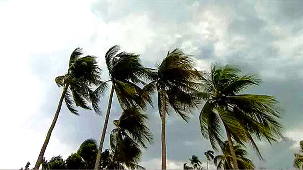 আগামী ৫ দিনের আবহাওয়ার পূর্বাভাস। ছবি : সংগৃহীত