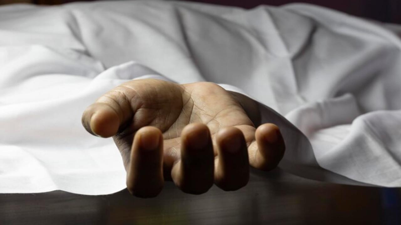 ছবি : সংগৃহীত