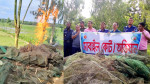 মধুপুরে  চায়না দুয়ারী জাল পুড়িয়ে ধ্বংস