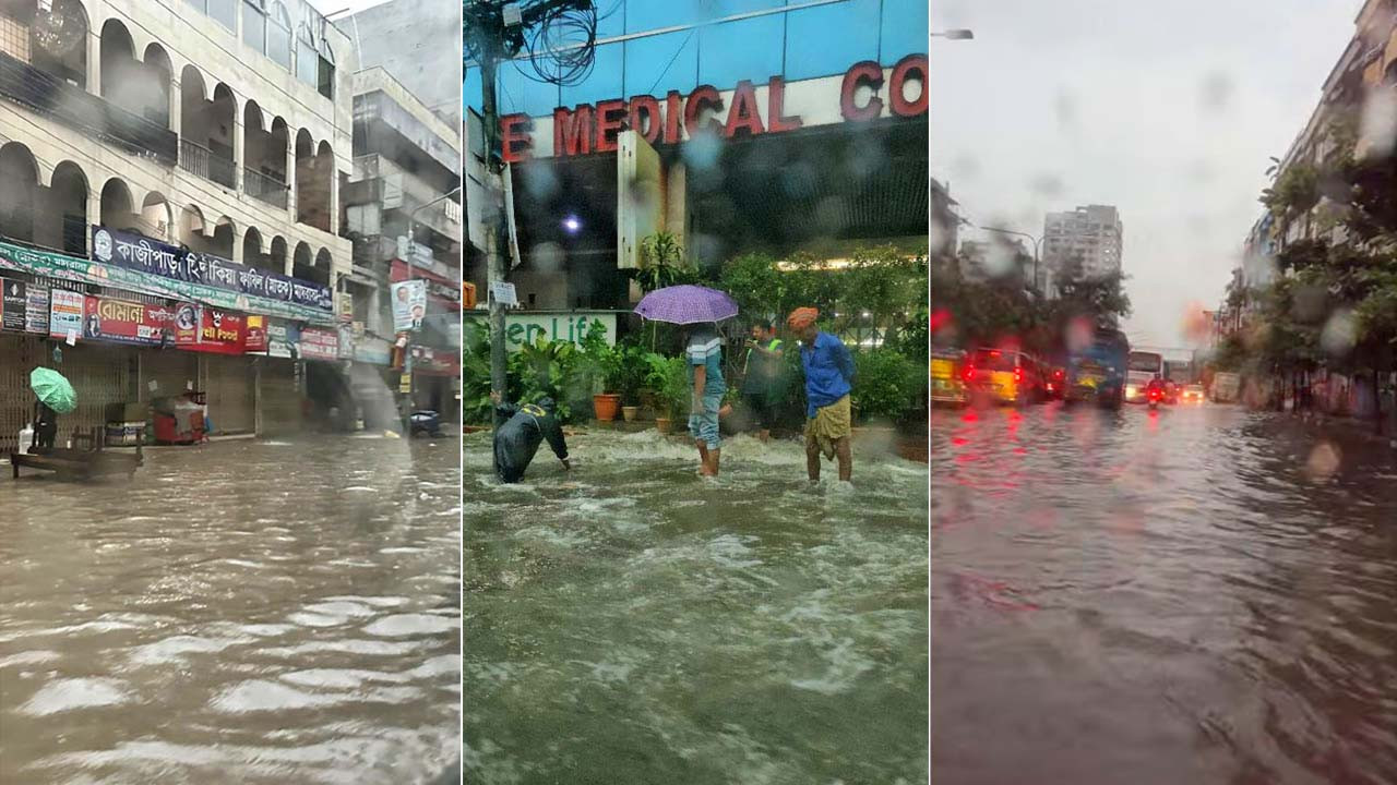 ছবি : সংগৃহীত