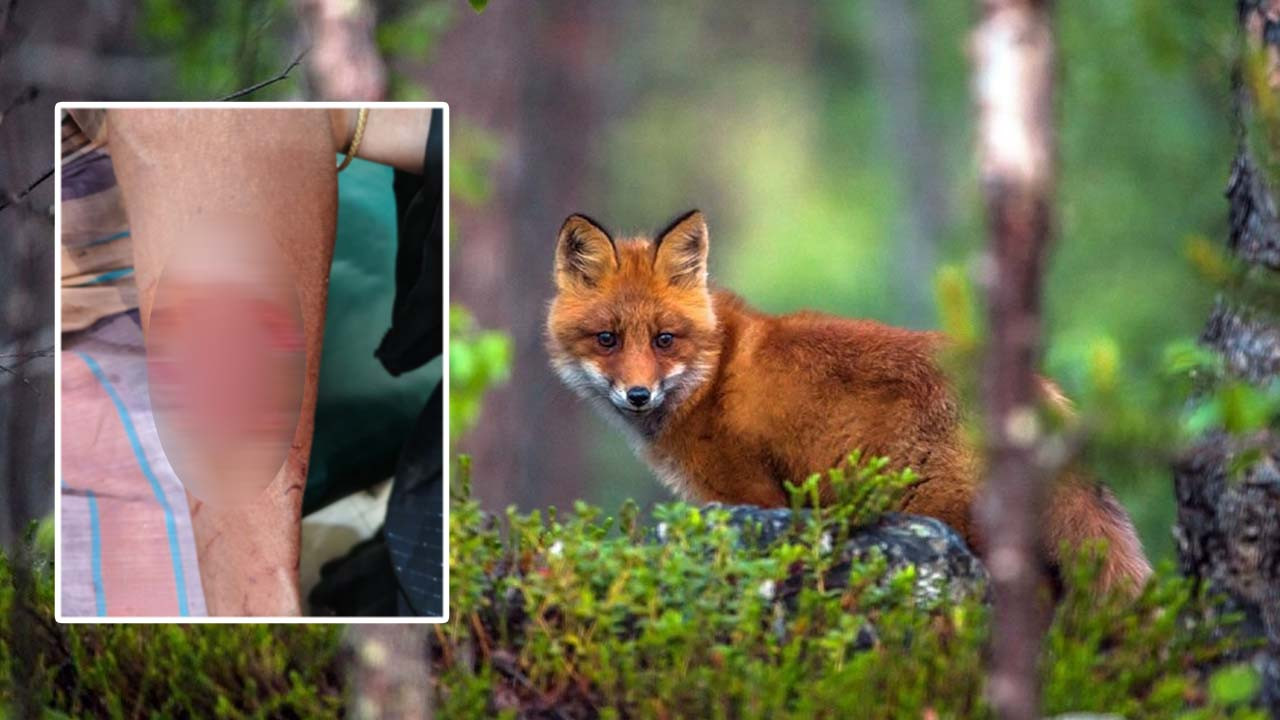 ছবি : আজকের প্রথা