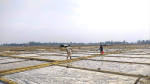 বাঁশখালীতে লবণ মাঠ দখল নিয়ে সংঘর্ষে আহত ৪