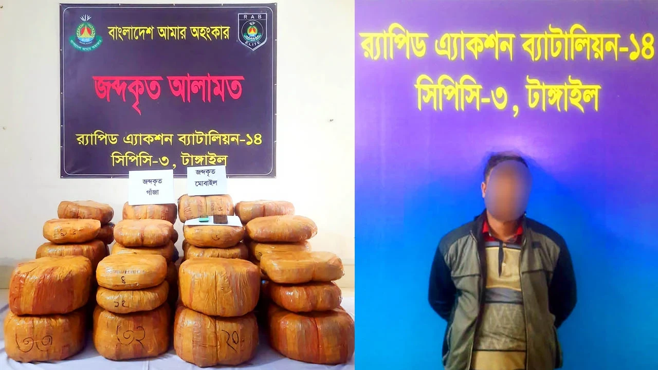 মধুপুরে উদ্ধারকৃত বিপুল পরিমাণ গাঁজা । ছবি: সংগৃহীত