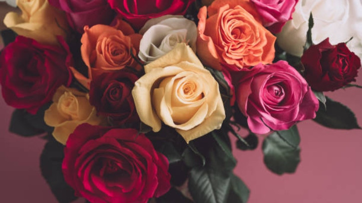 আজ রোজ ডে ২০২৬: জানুন কোন রঙের গোলাপের মানে কী