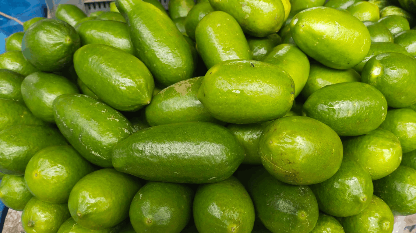 রমজানকে সামনে রেখে রাজধানীর বাজারে ইফতার পণ্যের দামে অস্বাভাবিক ঊর্ধ্বগতি। তিন দিনের ব্যবধানে শসা ও লেবুর দাম দ্বিগুণ, লেবুর হালি ১২০ টাকা। মুড়ি, খেজুর, বেসন ও সরিষার তেলের দামও বেড়েছে। বাজারে তদারকি জোরদারের দাবি জানিয়েছেন ভোক্তারা।