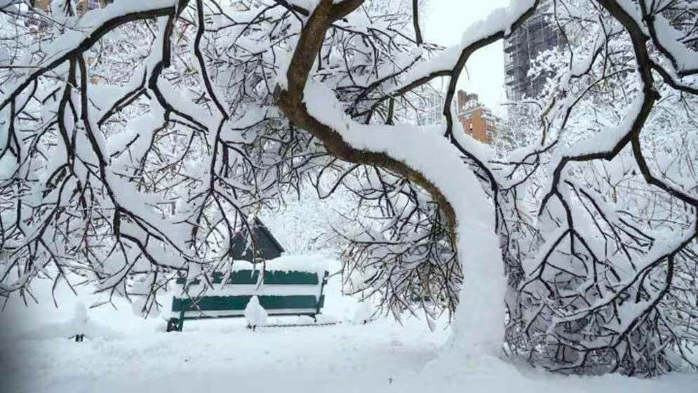 যুক্তরাষ্ট্রের পূর্ব উপকূলে তুষারঝড়ের কারণে ঢাকা পড়েছে রাস্তাঘাট। ছবি সংগৃহীত